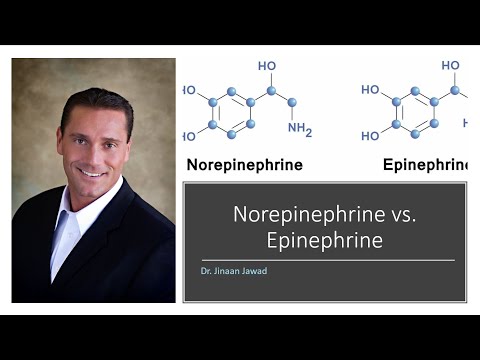 What Is The Difference Between Norepinephrine and Epinephrine?