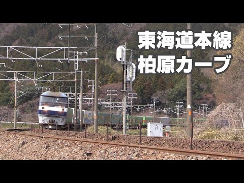 東海道本線「柏原カーブ」を行く貨物列車　2019.03