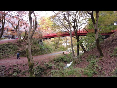 紅葉の名所めぐり　／養父神社　癒しのタイムチャンネル＃72