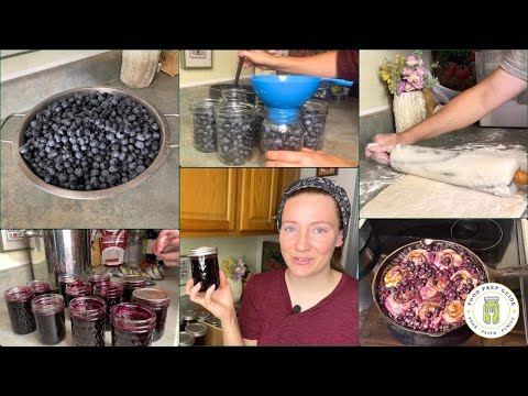 Preserving Blueberries | Pie Filling & Jam 🫐