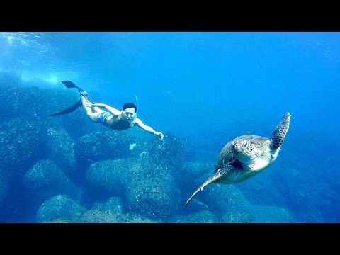 Freediving - With Turtles! September 2016, Hachijo