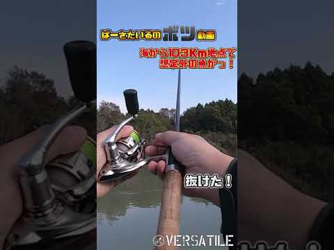 海無し県で海の魚釣れたっ！！　#Shorts