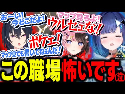 一ノ瀬社長の会社に就職したらガラが悪すぎて怯えたり、ひなのの紡木さん呼びに不安になっちゃう紡木こかげ【ぶいすぽ/切り抜き/紡木こかげ/一ノ瀬うるは/橘ひなの/千燈ゆうひ/ARK】