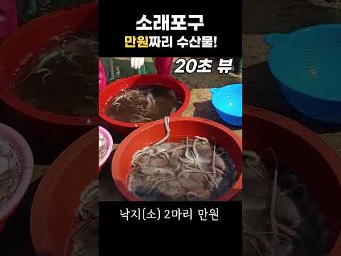 소래포구 어시장! 만원으로 살 수 있는 것은?