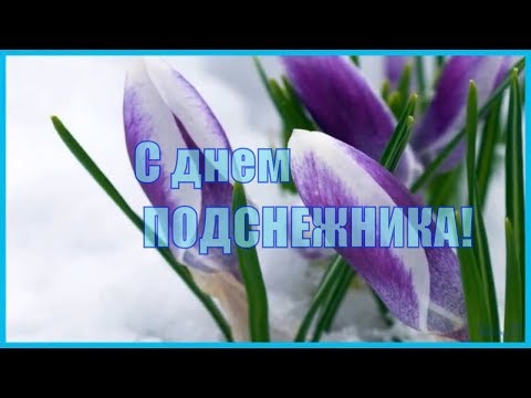 С днем ПОДСНЕЖНИКА! 19 апреля