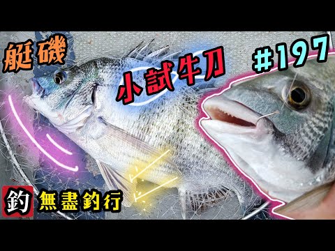 杜小銘的無盡釣行#197_#香港釣魚 #釣魚 #釣り #黑沙 #黑鱲 #浮波 #船磯 #艇磯 #磯釣 #牛屎鱲 #誘餌 #艇釣 #船釣 #爆釣 #フカセ釣り#白鱲