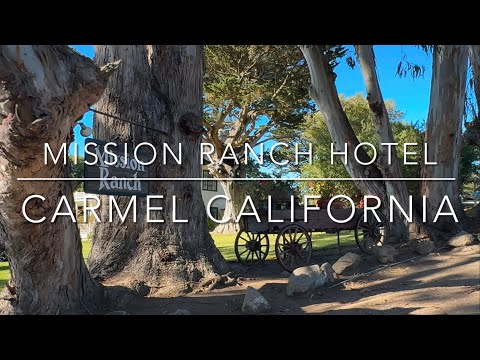 Carmel Mission Ranch Hotel | California | Meadowview Fourplex Room | Travel and Cruise Tips