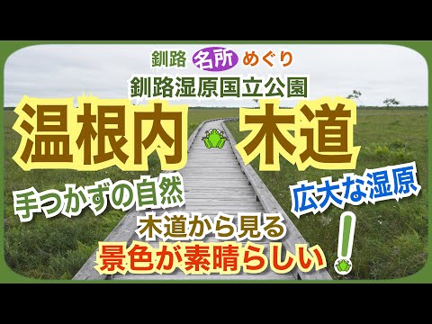 【釧路】日本最大の手つかずの広大な湿原　木道からの景観が素晴らしい！〜釧路湿原国立公園/温根内木道〜