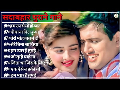 Hindi love 💕💕 song sadabahar song Purane gane (70's_80'_90's हिंदी पुराने गाने फिल्मी गाने) #hindi