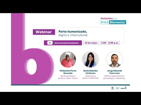 Webinar: Parto humanizado, digno e intercultural. Experiencias exitosas