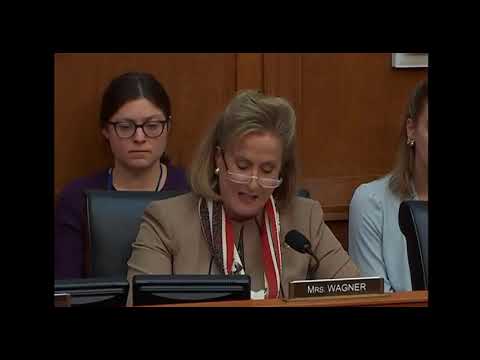 Wagner Speaks at Foreign Affairs Committee Hearing on Anti Semitism