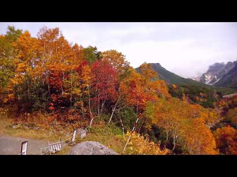 十勝岳に紅葉を見に行きました