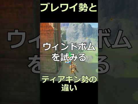 ティアキン勢とブレワイ勢の違い ぶっとび編 #ゼルダの伝説 #zelda #ゼルダの伝説ブレスオブワイルド #ゼルダの伝説ティアーズオブザキングダム