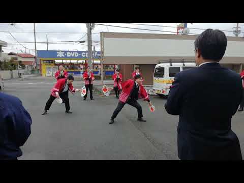 【新年恒例】クリナップさんの鯉の滝のぼり