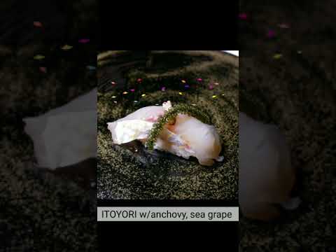 E8【Itoyori】 TSUKIJI FISH MARKET Inc by 市場系youtuber疋田拓也Takuya Hikita～本気の目利きシリーズ捌き編～Golden threadfin