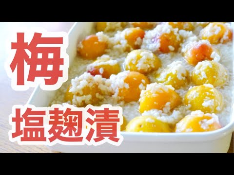 完熟梅の塩麹漬　１か月で食べごろ