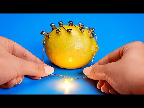 Engaging Science Tricks with Everyday Objects