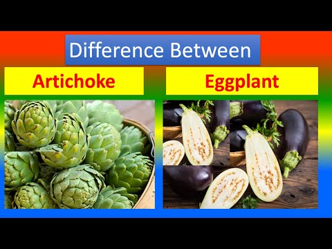 Differences Between Medical And Health Benefits Of Artichoke  and  Eggplant