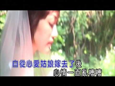 俞隆華 - 心愛別人的 【KTV 導唱字幕】