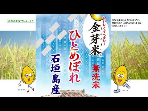 沖食 金芽米石垣島産ひとめぼれ2022CP篇