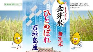 沖食 金芽米石垣島産ひとめぼれ2022CP篇