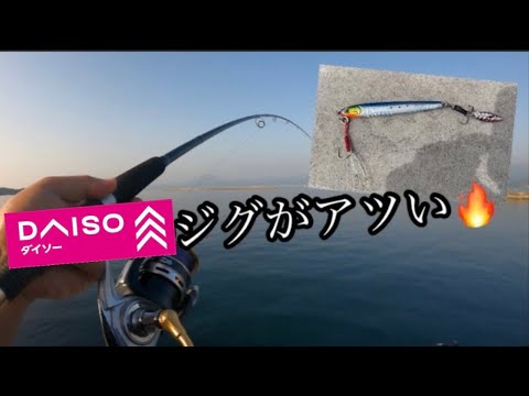 【ショアジギング】ボイルが多発する港で青物！！