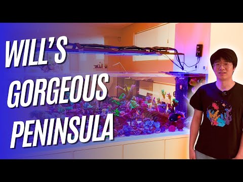 Will's Gorgeous Peninsula!