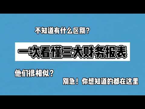 【三大财务报表？】一网打尽！财务报表