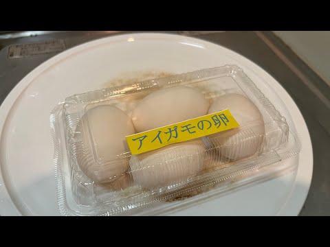 アイガモの卵を食べてみる！