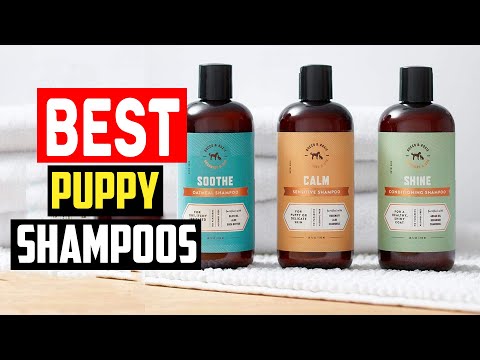 ✅Top 5 Best Puppy Shampoos for a Worry Free Bathtime