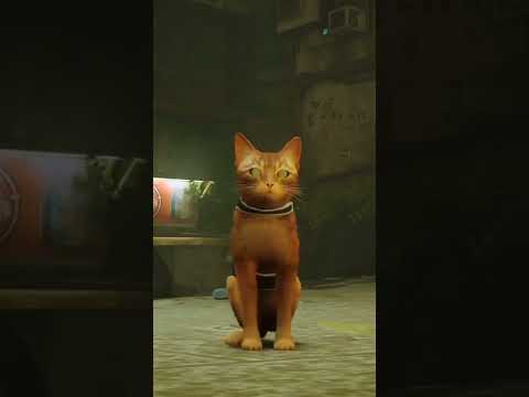 The cat game "Stray" edit