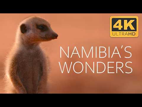 From Dry Savannahs to Wide River Landscapes | 4K UHD Documentary