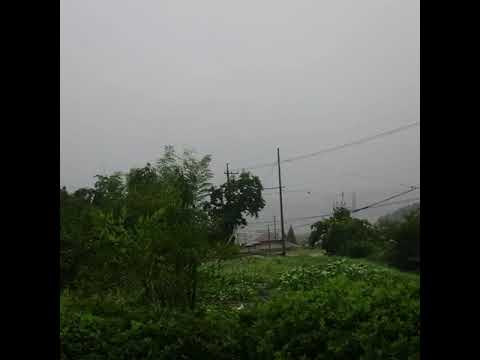 台風２１号際接近中 凄い風です