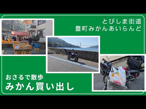 モンキーで買い出し散歩「とびしま海道みかんあいらんど」【88ccカスタムモンキーで遊ぶ #182 】