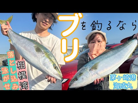 【落とし込み・泳がせ釣り】ブリ当たり年！？ヒット連発!!茅ヶ崎から相模湾で狙う極上のブリ【海成丸】