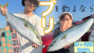 【落とし込み・泳がせ釣り】ブリ当たり年！？ヒット連発!!茅ヶ崎から相模湾で狙う極上のブリ【海成丸】