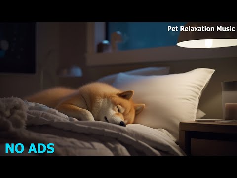 MUSIC THERAPY For Restless Or Nervous Cats And Dogs 💛 Relaxing Music To Calm Pets