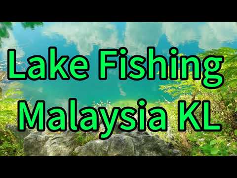 马来西亚吉隆坡钓鱼。Fishing in Kuala Lumpur, Malaysia你喜欢钓鱼吗，一起户外钓鱼。河湖海钓都可以。疫情商城不能去，只能户外自驾游，或者钓鱼高尔夫了。又能锻炼又有鱼吃。