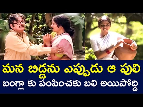 NEVER SEND OUR CHILD TO THAT TIGER BUNGALOW | ALLURAMALINGAIAH | RAO GOPALRAO | V9 VIDEOS