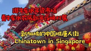 逛新加坡的唐人街牛车水年货市场，看灯展Singapore Chinatown Walk