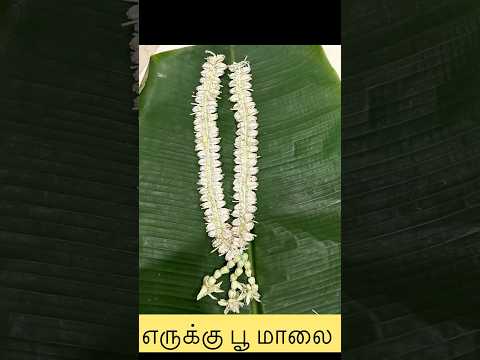 எருக்கு பூ மாலை /Erakku poo malai / handmade #creativity #Happiness# unique #viral videos