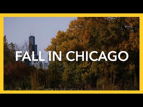 Fall Landscape Photography in Chicago