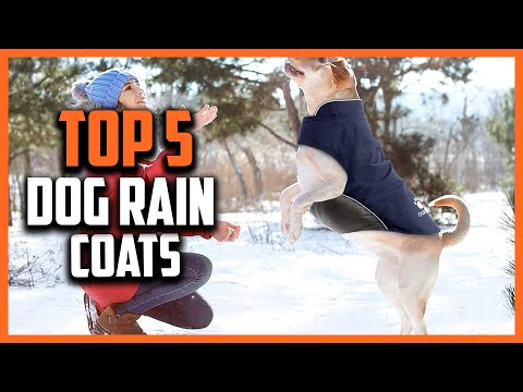 ✅Top 5 Best Dog Rain Coats Review 2024