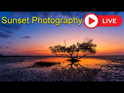 LIVE Sunset photography