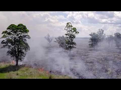 Paraguay, the forest of pesticides