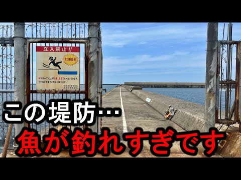 【新潟遠征】立入禁止看板がある堤防釣りは魚が湧きまくりでヤバかった…