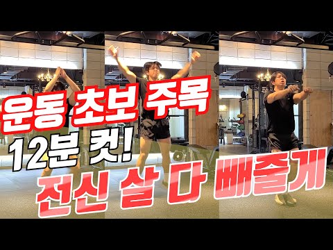 12분 컷 전신운동 살 빼기/ 12min full boby work out  / 헬스헌터 / healthhunter / EP. 15