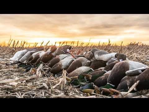 Waterfowl Hunting "Canada of the South" - Fowled Reality