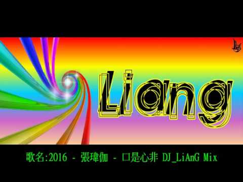 2016 - 張瑋伽 - 口是心非 DJ_LiAnG Mix