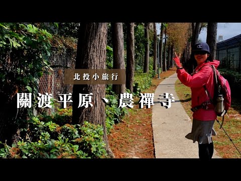 北投小旅行｜關渡平原、農禪寺、復興崗落羽松步道｜捷運新北投、奇岩站｜cakethree三個蛋糕